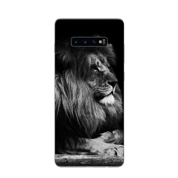 Zadný kryt pre Samsung Galaxy S10
