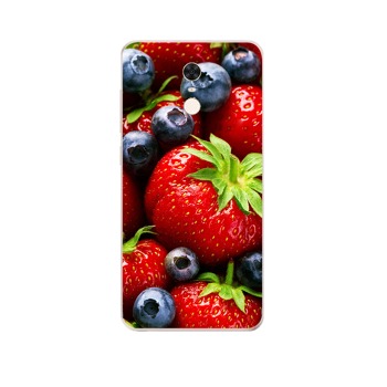 Zadný kryt pre Xiaomi Redmi 5 Plus