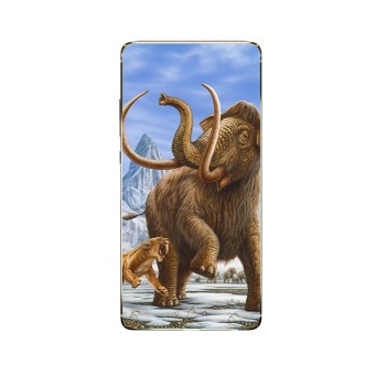 Ochranný kryt pre Realme 6s