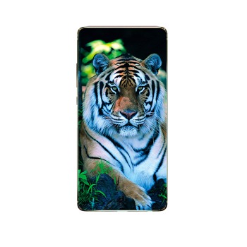 Kryt na mobil OPPO Reno 5 5G