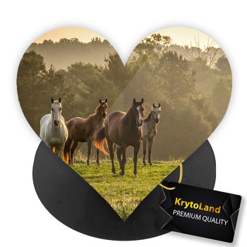 Prémiový čierny popsocket srdce so vzorom