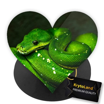 Prémiový čierny popsocket srdce so vzorom