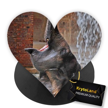 Prémiový čierny popsocket srdce so vzorom