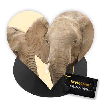 Prémiový čierny popsocket srdce so vzorom