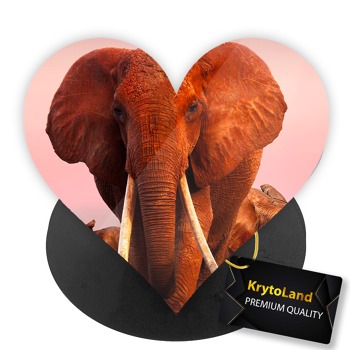 Prémiový čierny popsocket srdce so vzorom