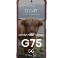 bizon-case-tur-motorola-moto-g75-5g-burgundy_3.jpg