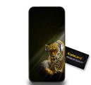 500.jpg