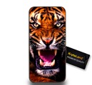 610.jpg
