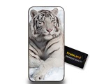 605.jpg